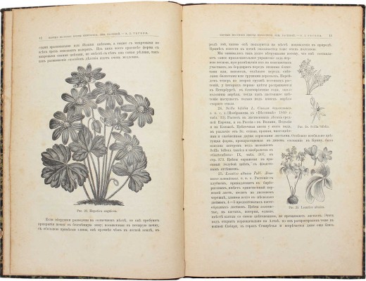 Регель Э.Л. Весенние красивоцветущие многолетние и луковичные растения, их содержание и воспитание в садах. СПб.: Изд. К. Риккера, 1888.